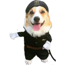 สติกเกอร์