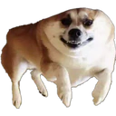 สติกเกอร์