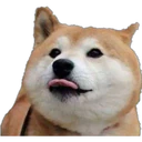 สติกเกอร์