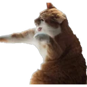 สติกเกอร์