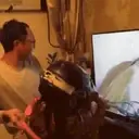 ஸ்டிக்கர்