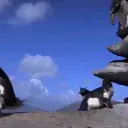 ស្ទីកเกอร์