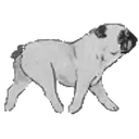 สติกเกอร์