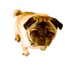 สติกเกอร์