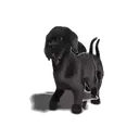 สติกเกอร์