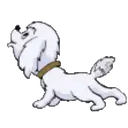 สติกเกอร์