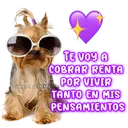 স্টিকার