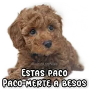 স্টিকার