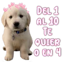 স্টিকার