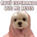 স্টিকার