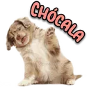 স্টিকার