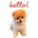 স্টিকার