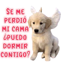 স্টিকার