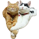 ស្ទីកเกอร์