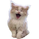 ស្ទីកเกอร์