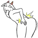 స్టికర్