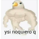 ස්ටිකර්