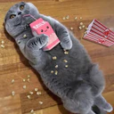 ஸ்டிக்கர்