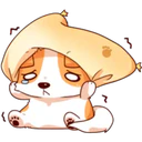 স্টিকার