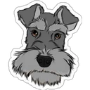 ஸ்டிக்கர்