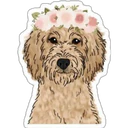 ஸ்டிக்கர்