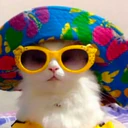 ஸ்டிக்கர்