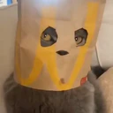 ஸ்டிக்கர்