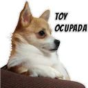 స్టికర్