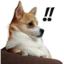 స్టికర్