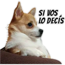 స్టికర్