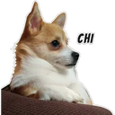 స్టికర్