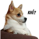 స్టికర్