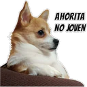 స్టికర్