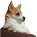 స్టికర్