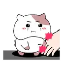 ස්ටිකර්