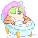 Կպչուն պիտակ