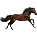 ස්ටිකර්