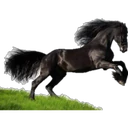 ස්ටිකර්