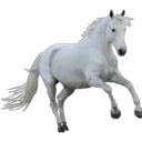 ස්ටිකර්