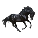 ස්ටිකර්