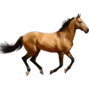 ස්ටිකර්