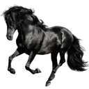 ස්ටිකර්