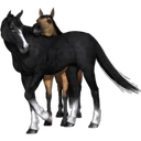 ස්ටිකර්