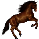 ස්ටිකර්