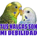 ស្ទីកเกอร์