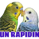 ស្ទីកเกอร์