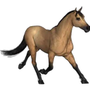 ස්ටිකර්