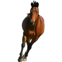 ස්ටිකර්