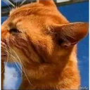 Կպչուն պիտակ