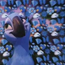 Կպչուն պիտակ